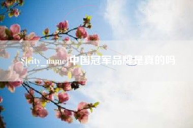 乐清中国冠军品牌是真的吗