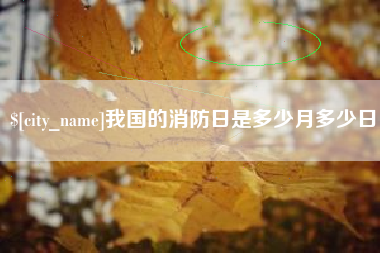 乐清我国的消防日是多少月多少日