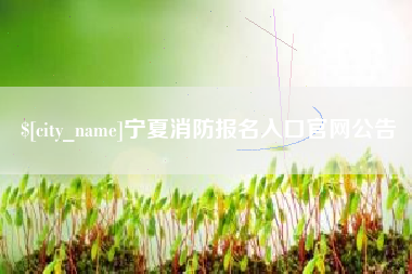 乐清宁夏消防报名入口官网公告
