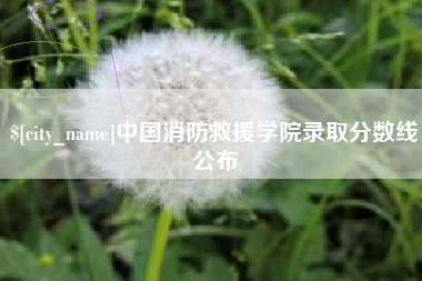 乐清中国消防救援学院录取分数线公布