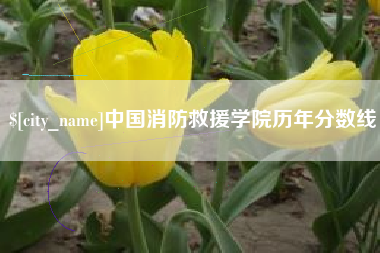 乐清中国消防救援学院历年分数线