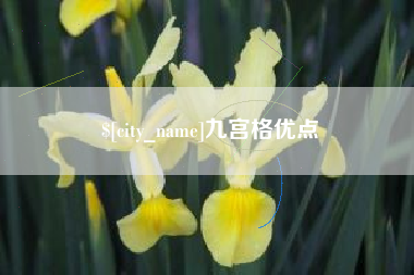 乐清九宫格优点