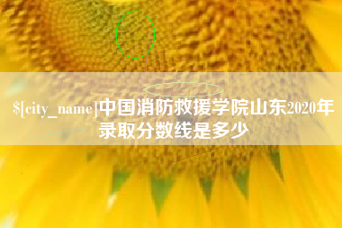 乐清中国消防救援学院山东2020年录取分数线是多少