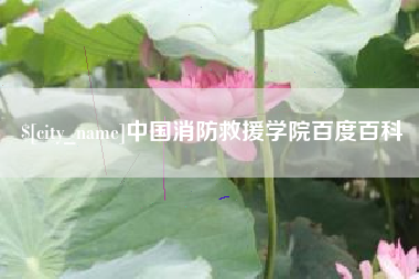 乐清中国消防救援学院百度百科