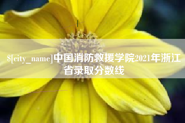 乐清中国消防救援学院2021年浙江省录取分数线