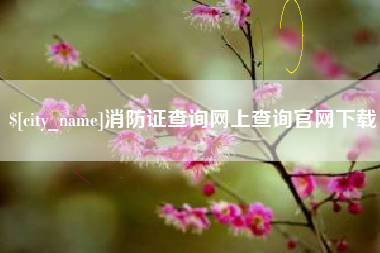 乐清消防证查询网上查询官网下载