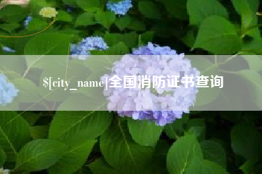 乐清全国消防证书查询