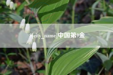 乐清中国第9金