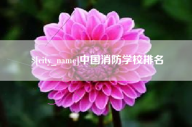 乐清中国消防学校排名