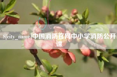 乐清中国消防官网中小学消防公开课