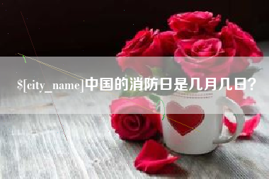 乐清中国的消防日是几月几日？