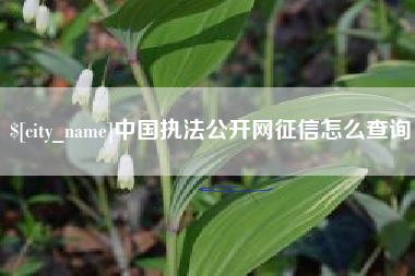 乐清中国执法公开网征信怎么查询