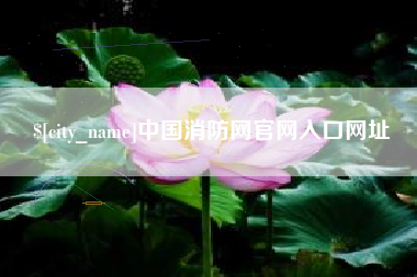 乐清中国消防网官网入口网址