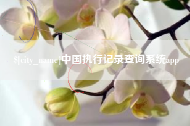 乐清中国执行记录查询系统app