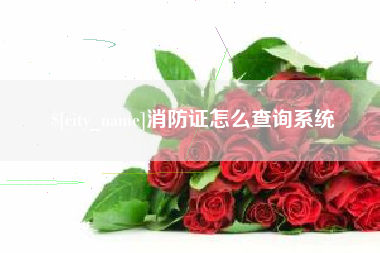 乐清消防证怎么查询系统