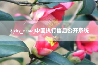 乐清中国执行信息公开系统