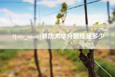 乐清消防大学分数线是多少