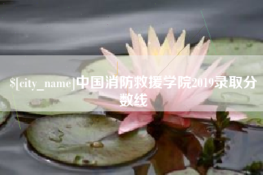 乐清中国消防救援学院2019录取分数线