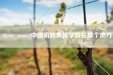 乐清中国消防救援学院在那个地方