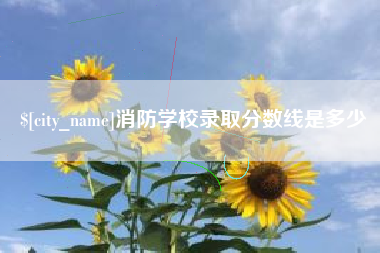 乐清消防学校录取分数线是多少