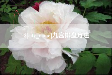 乐清九宫排盘方法