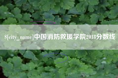 乐清中国消防救援学院2018分数线