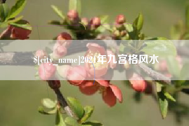 乐清2021年九宫格风水