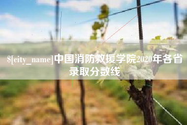 乐清中国消防救援学院2020年各省录取分数线