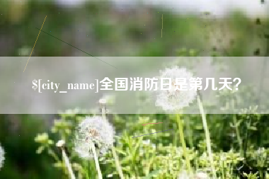 乐清全国消防日是第几天？