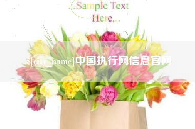 乐清中国执行网信息官网