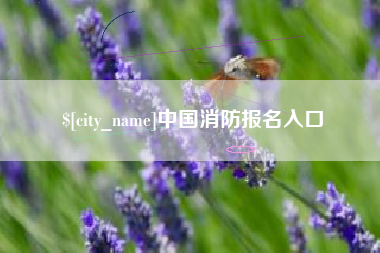 乐清中国消防报名入口