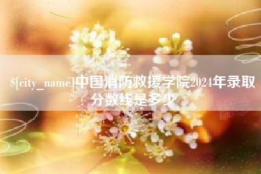 乐清中国消防救援学院2024年录取分数线是多少
