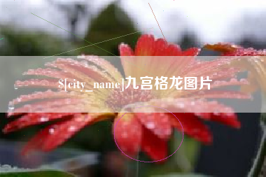 乐清九宫格龙图片