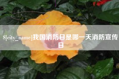 乐清我国消防日是哪一天消防宣传日