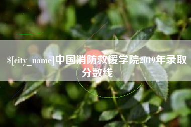 乐清中国消防救援学院2019年录取分数线