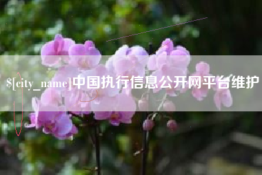 乐清中国执行信息公开网平台维护