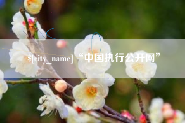 乐清“中国执行公开网”