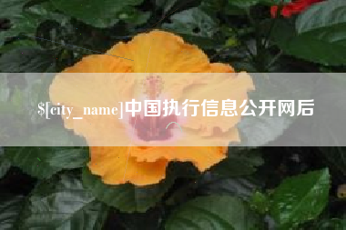 乐清中国执行信息公开网后