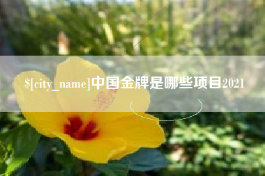 乐清中国金牌是哪些项目2021