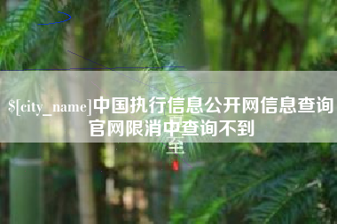 乐清中国执行信息公开网信息查询官网限消中查询不到