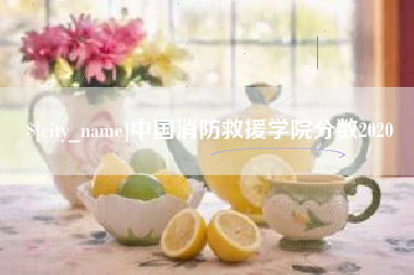 乐清中国消防救援学院分数2020