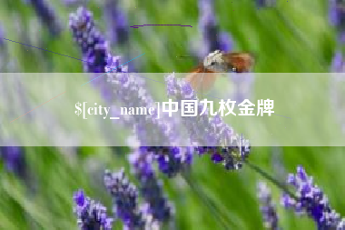 乐清中国九枚金牌