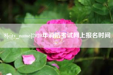 乐清2020年消防考试网上报名时间