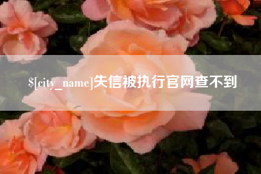乐清失信被执行官网查不到