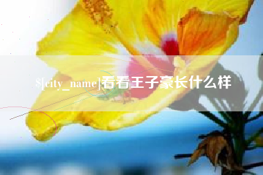 乐清看看王子豪长什么样