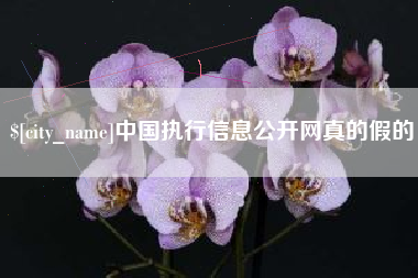 乐清中国执行信息公开网真的假的