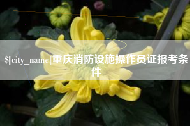 乐清重庆消防设施操作员证报考条件