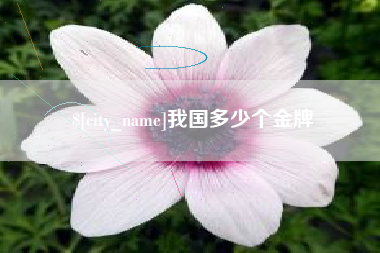 乐清我国多少个金牌