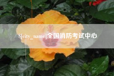 乐清全国消防考试中心