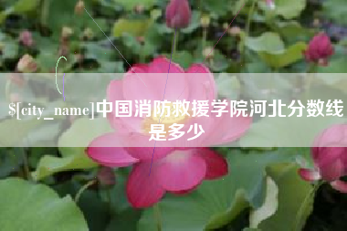 乐清中国消防救援学院河北分数线是多少